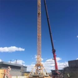 Liebherr 71EC