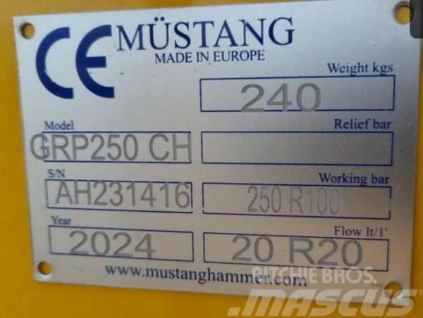  _JINÉ Mustang - GRP 250CH Drugo