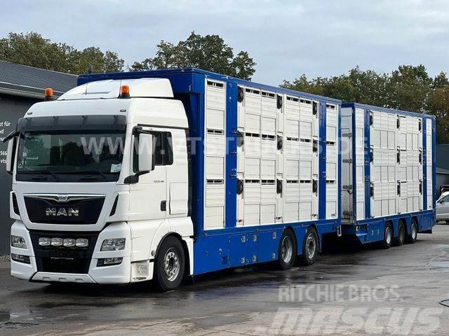 MAN TGX 26.480 6x2 3.Stock FINKL + Tandemanhänger Tovornjaki za prevoz živine