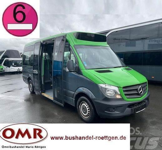 Mercedes-Benz Sprinter 314 Mobility / 316 / 514 / 516 / Rampe Mini avtobusi